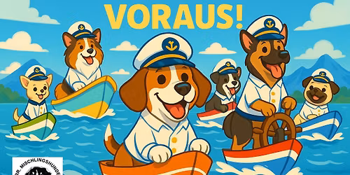 Hunderennen Sommercup Volle Wuffkraft voraus