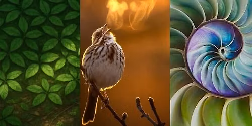 Call for Artists for 2nd Annual "Nature's Palette" Show, deadline March 15th  