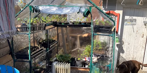 Plant Sale Fundraiser