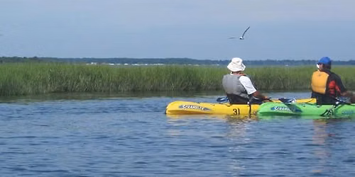 Kayak Eco-Tour: Paddling Station Cove