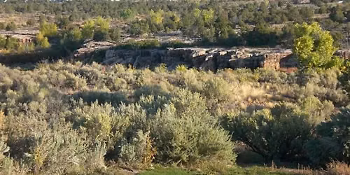 Prehistoric & Historic Mitchell Springs