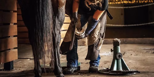 The evolution in whole horse soundness conference 