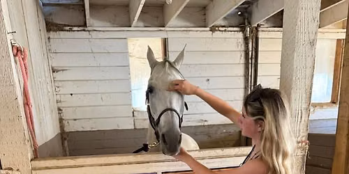 August 17-19th - All Things HORSES Summer Camp!