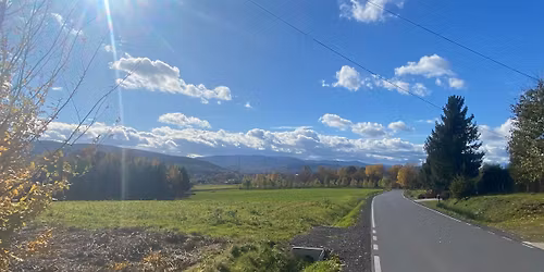 Beekeeping Beginners Course