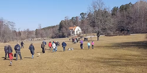 Pudelpromenad i \u00c4ngsj\u00f6