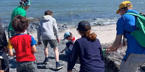 Fossil Walk! Dublin coastline, 30 November 