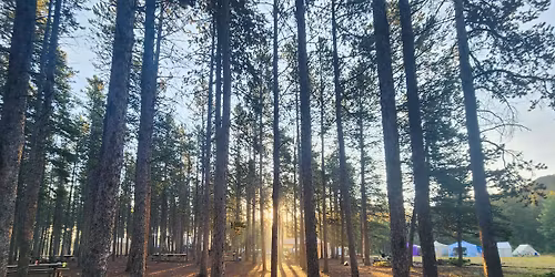 Litha Gathering\/Camping Weekend