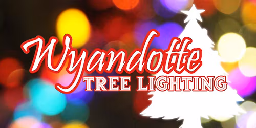 Wyandotte Tree Lighting