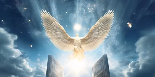 Mediumship Gallery