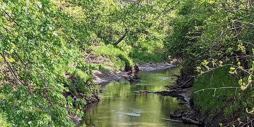 Richland Creek Improvement Association Scavenger Hunt and The Tour De Clinton Hills