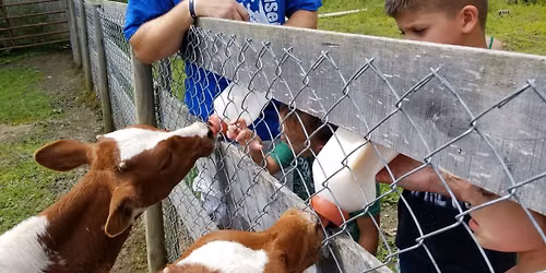 Little Farmers Day