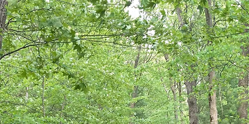 MTB Group Ride at Midland City Forest