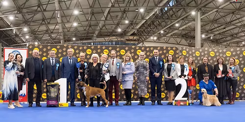 N\u00e1rodn\u00ed v\u00fdstava ps\u016f Brno 2026