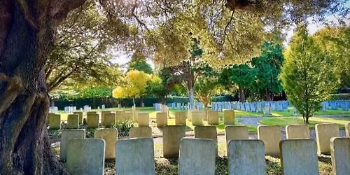 Annual Conference; The Long-Tail, alternative sources for Irish Family History Research