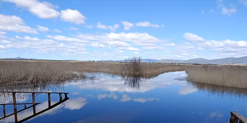 PARQUES NACIONALES DE CIUDAD REAL. Tablas de Daimiel y Caba\u00f1eros