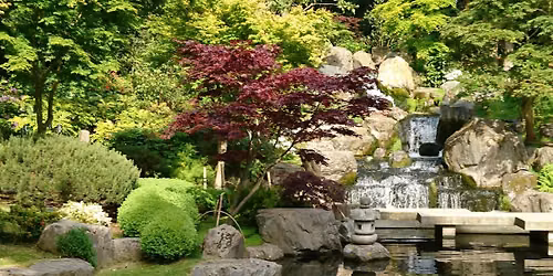 Forest Bathing in Holland Park \u2013 Relax and Reconnect with Nature