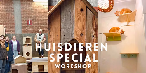 Workshop: huisdieren special