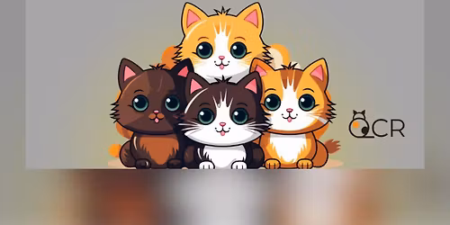 Kitten Adoption Event