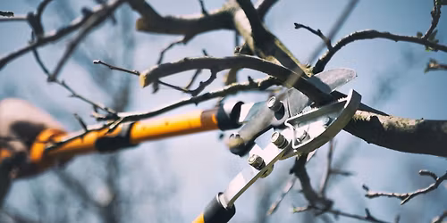 Just Prune It - Community Workshop