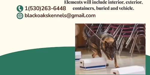 Intro to Scent and Intermediate\/Advanced Scent Class