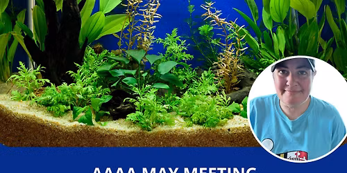 AAAA May Meeting