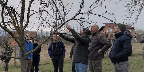 TE\u010cAJ ZIMSKE REZIDBE VO\u0106AKA (3 TERMINA, 2 LOKACIJE)