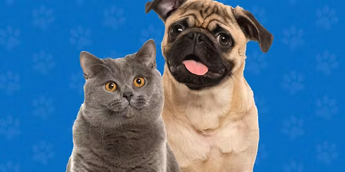 NEW DATE! Low Cost Dog & Cat Mobile Vaccine Clinic (Rescheduled due to weather)