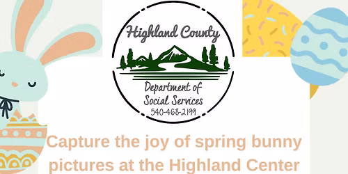 FREE Spring Bunny Pictures 