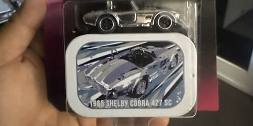 The Pink Slips