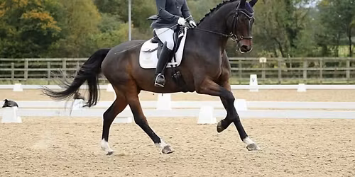 Clinic with Toni from Bounce Back Equestrian