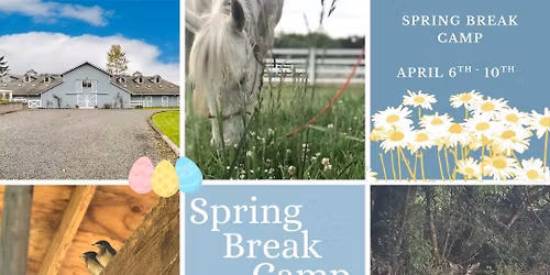 \ud83c\udf37Spring Break Camp\ud83c\udf37