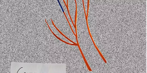 Convalescence album launch