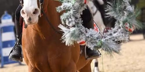 Reindeer Games Mini Camp