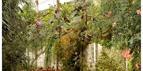 Kids 3D Paint Class | Creation of the World Series