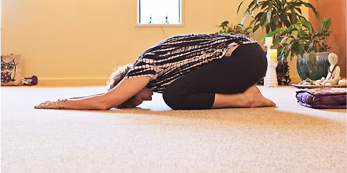 5 week Yoga for Beginners Course: Starts Monday, Jan. 26