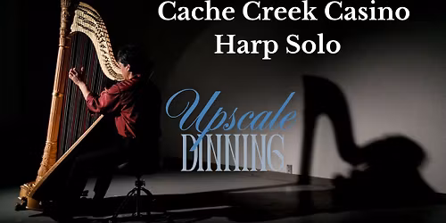 Solo Harp Live Performance