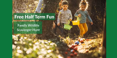 Half Term: Wildlife Scavenger Hunt
