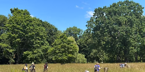 BioBlitz - badawcze spotkania edukacyjne