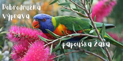 OBSAZENO! Letn\u00ed p\u0159\u00edm\u011bstsk\u00fd t\u00e1bor: Dobrodru\u017en\u00e1 v\u00fdprava papou\u0161ka \u017daka