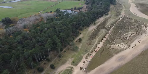 5 Mile Holkham Beach Race