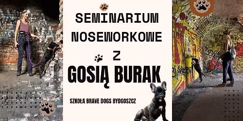 Seminarium noseworkowe z Gosi\u0105 Burak ze szko\u0142y Brave Dogs !