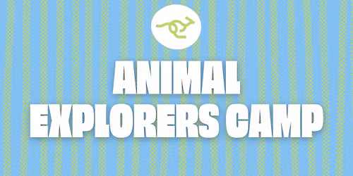 Animal Explorers Camp at Kipp (Ages 6\u201310)