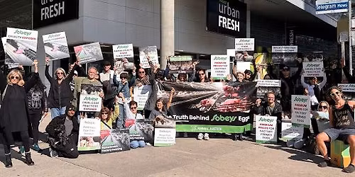 Exposing Sobeys Cage Cruelty \/ Vegan Feast Contest!