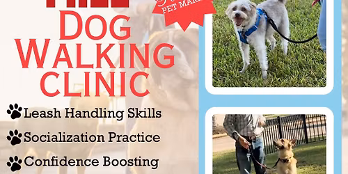 Dog Walking Clinic
