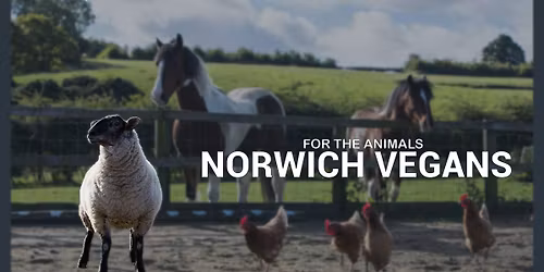 Christmas Meal At River Green