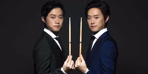 Twincussion