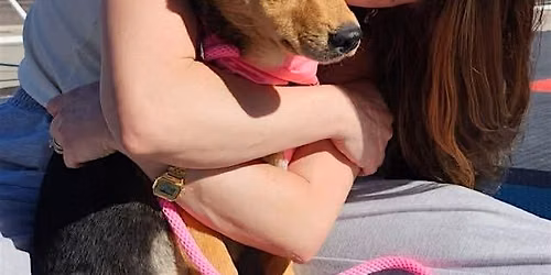 RESCUE PUPPY YOGA!
