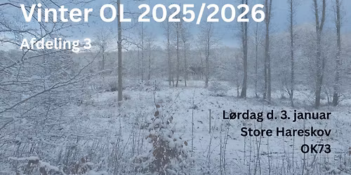 Vinter OL #3 Store Hareskov