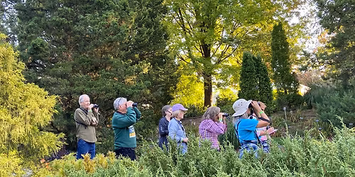 Wednesday Garden Walk - Spring Bird Migration