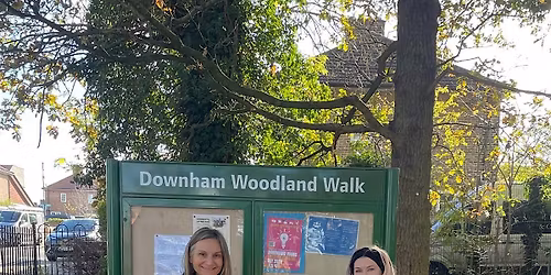 Litter Pick - Downham Woodland Walk (SE London)